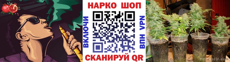 Что такое Пущино Кодеин  КОКАИН  ГАШ  MEGA   Меф  Марихуана  APVP 