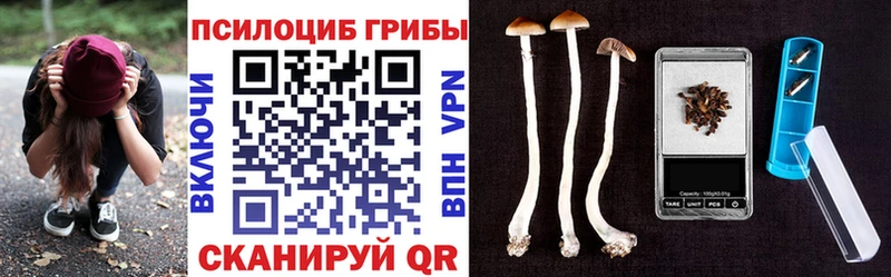 продажа наркотиков  мега ссылка  Галлюциногенные грибы Psilocybe  Пущино 